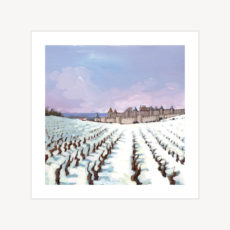 CP Carcassonne. La Cité sous la neige.