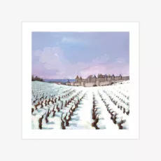 CP Carcassonne. La Cité sous la neige.