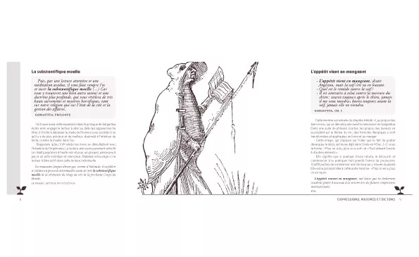 Pour découvrir l’apport considérable de Rabelais à la langue française 14,5 x 21 cm, 90 pages